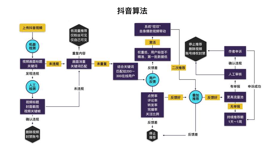 掌握这3个核心算法逻辑，你的抖音短视频也能轻松上热门