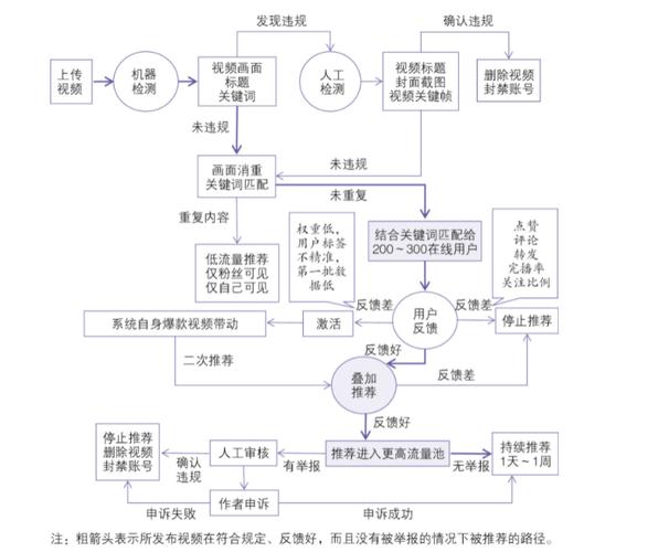 5个抖音爆款公式，教你精准踩中平台推荐机制