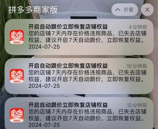 砍价成功反被嘲？拼多多零元购背后的家庭经济学