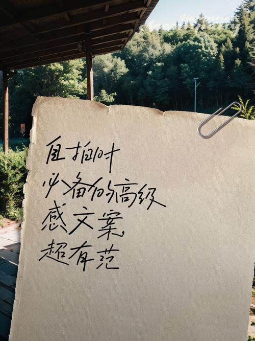 抖音文案高级感自拍技巧分享
打造高级感自拍,让你成为抖音焦点