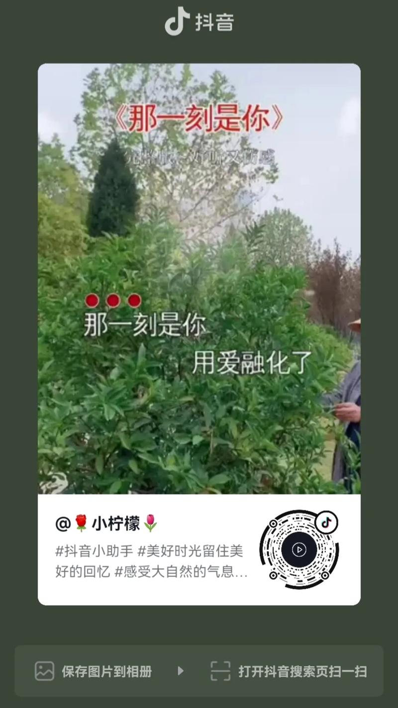 回忆很美,抖音小技巧回顾与探索