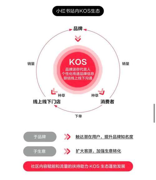 揭秘评论自助下单平台,新手博主如何高效提升互动量?