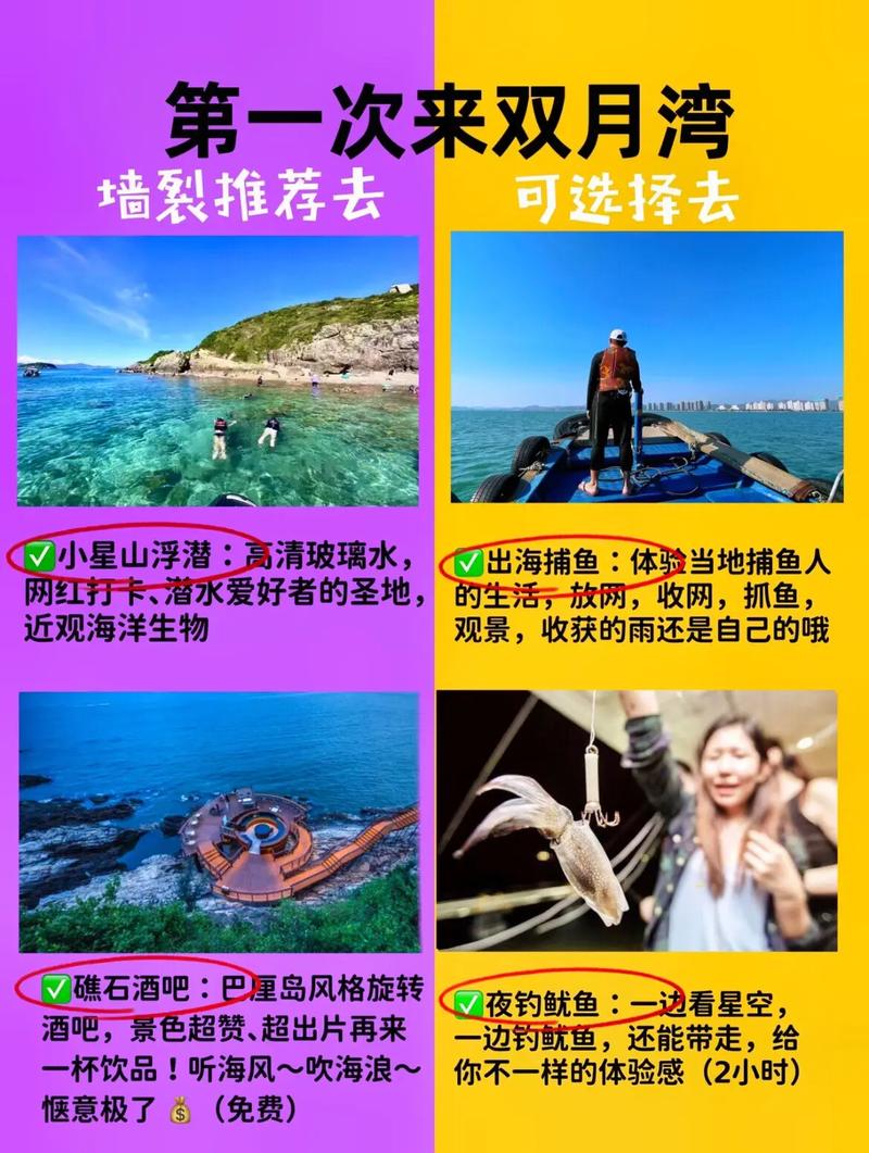 蔚蓝自助下单平台,新手必看的运营技巧与避坑指南