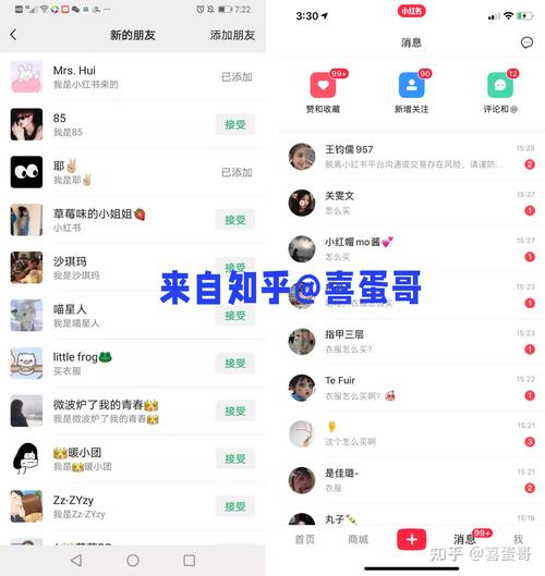 揭秘小红书免费自助下单平台,真相与风险指南