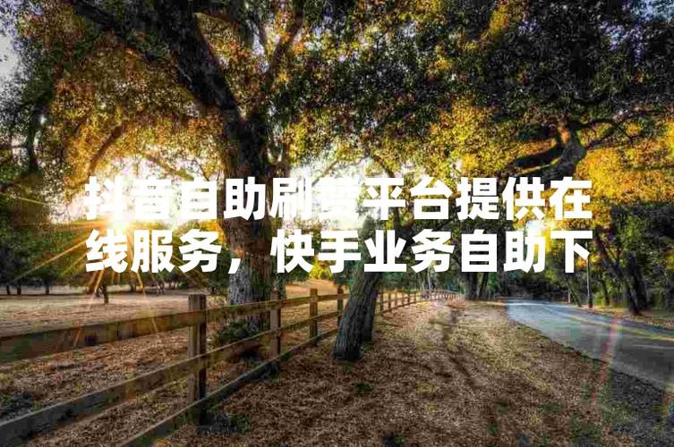 快手自助刷赞下单平台,是捷径还是陷阱?