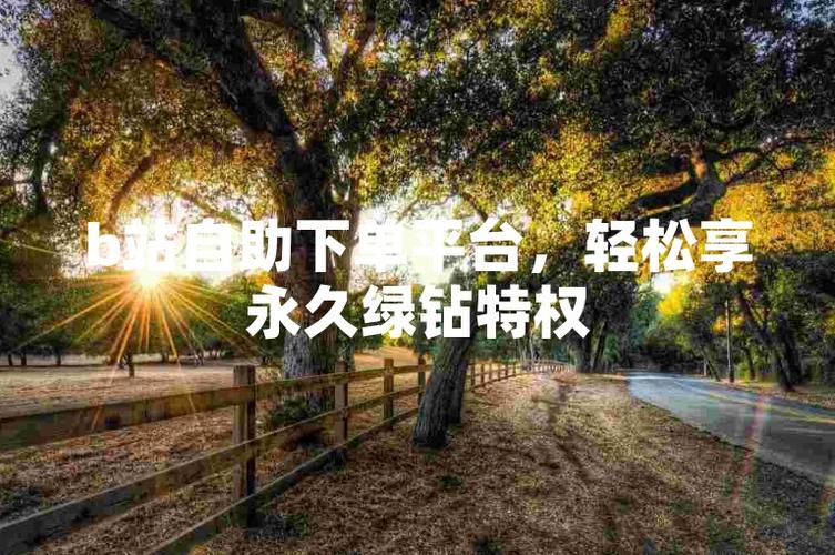 B站评论自助下单平台靠谱吗?揭秘背后的真相与风险