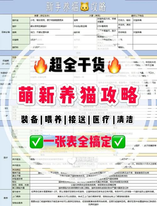 大喵喵自助下单平台使用指南,从注册到赚钱的全流程解析