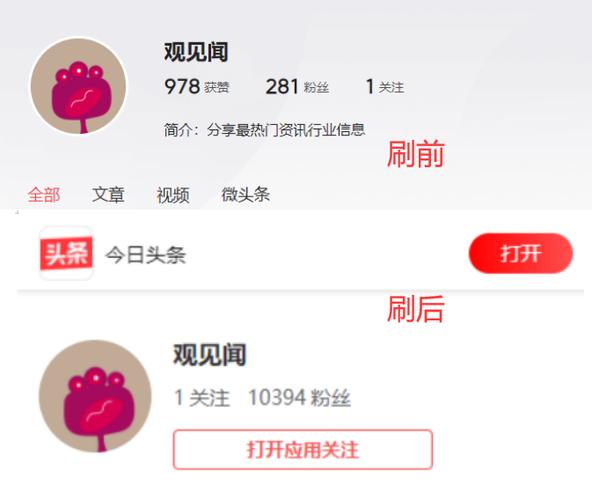 如何利用自助下单平台在今日头条快速涨粉