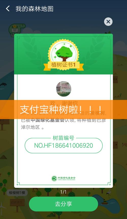 自助平台下单如何找到全网最低价?这些技巧帮你省大钱