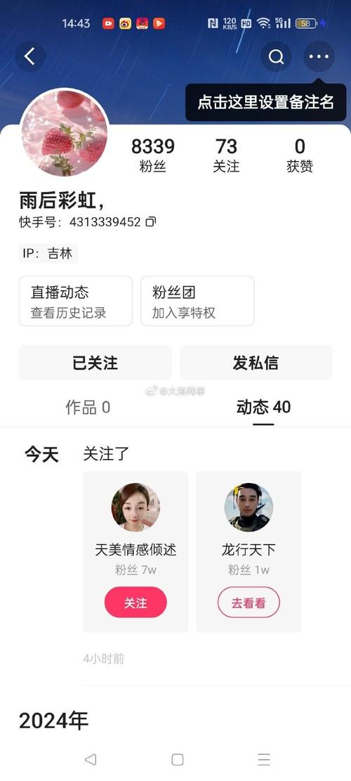 快手自助下单平台僵尸粉,真相与风险解析