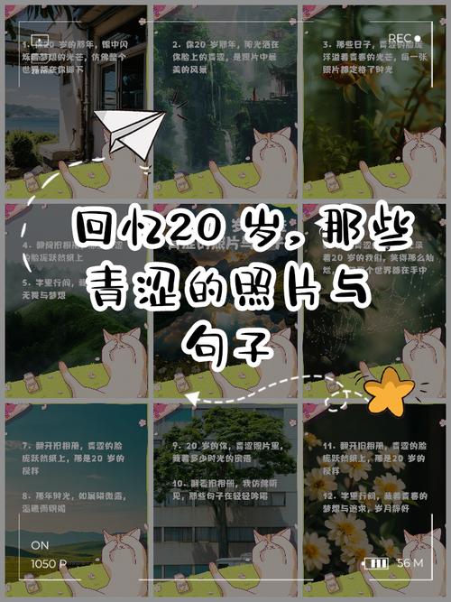 翻出20岁那年的QQ空间说说,我差点笑到裂开