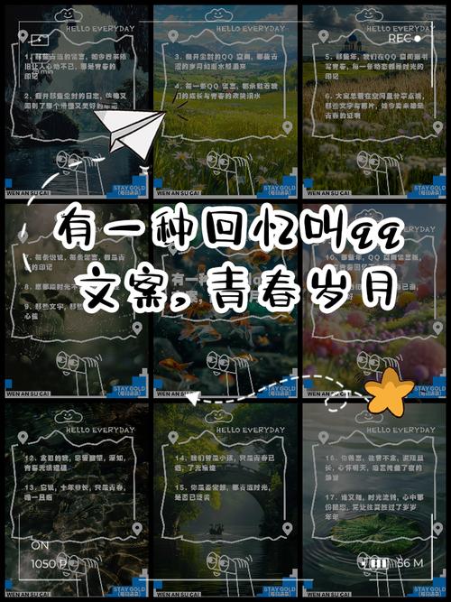 那些年,我们在QQ空间说说的评论区里撒过的野