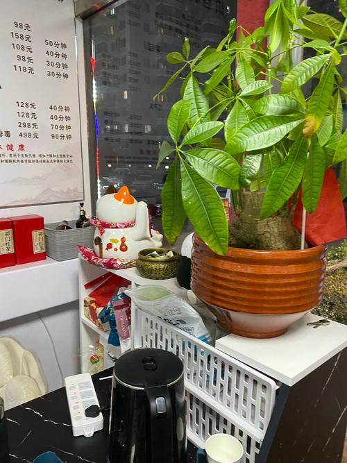 我的小空间，收获无数领赞