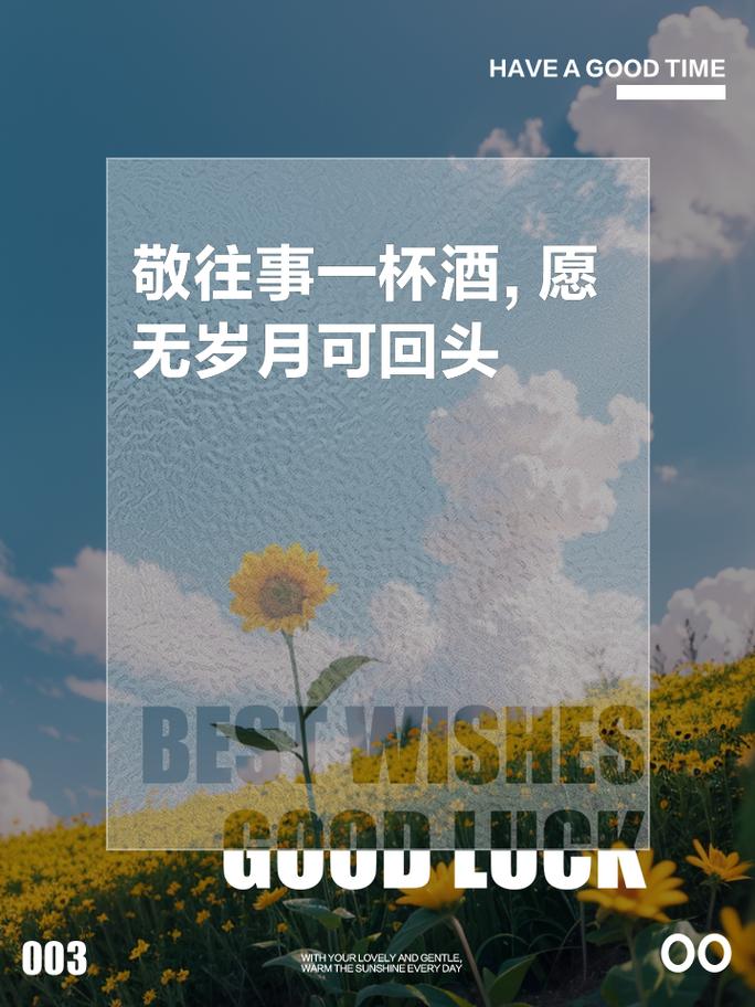 二十年职场路,一杯敬过往,一杯敬明天