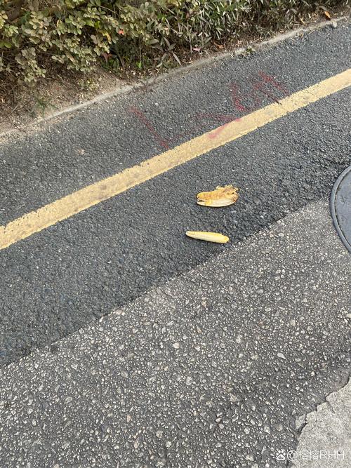 三十岁,就像突然踩到一块香蕉皮