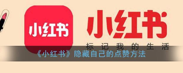 小自助下单平台_小红书点赞评论怎么关